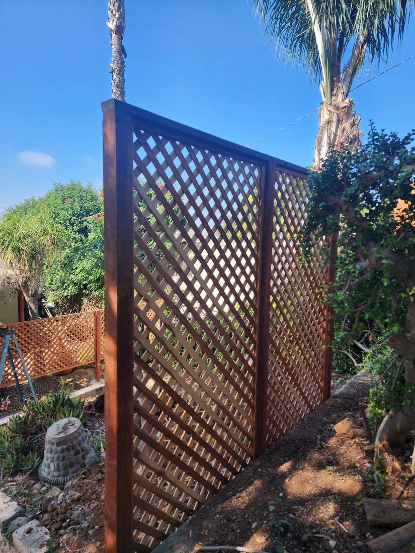 New wood lattice privacy fence panel installed near palm trees — Benitez Tree Service
