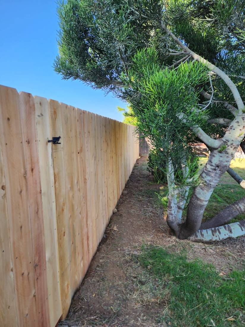New wood fence with gate hardware next to mature trees — Benitez Tree Service