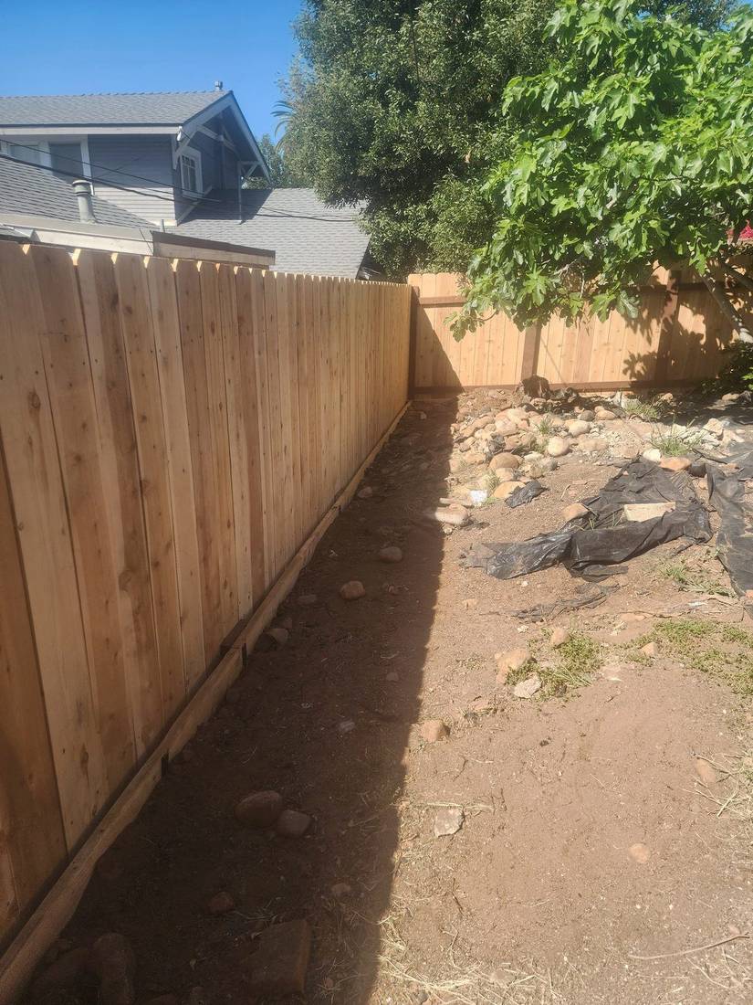 Tall cedar privacy fence along a side property line — Benitez Tree Service