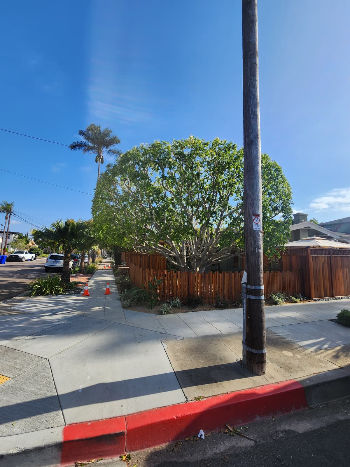New cedar wood fence installed by Benitez Tree Service in San Diego